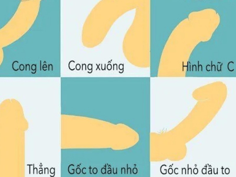 phổ biến nhất