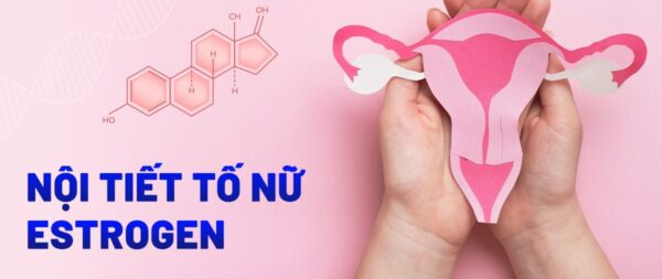 hormone nữ