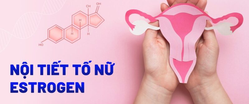 hormone nữ