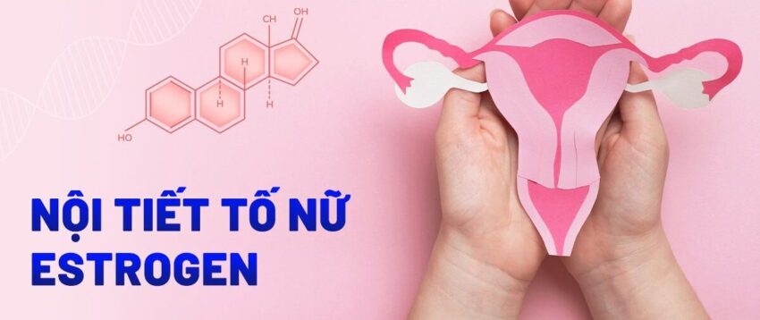 hormone nữ