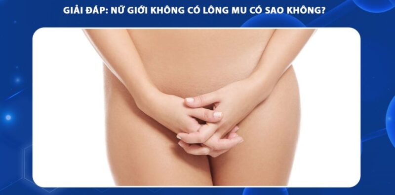 bướm không lông