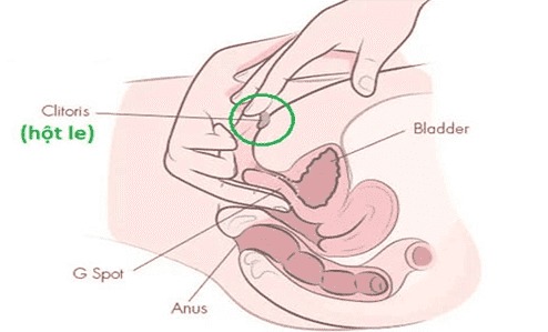 Biến ngón tay thành cây đũa thần