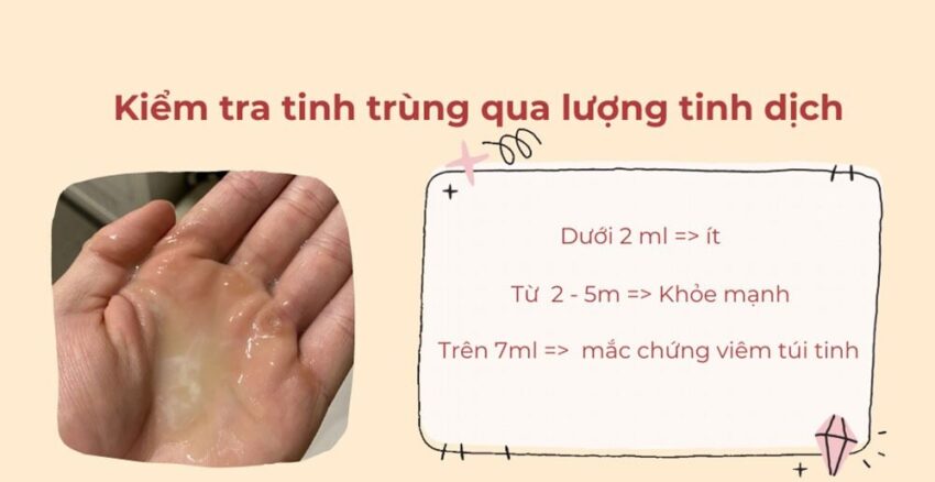 Số Lượng