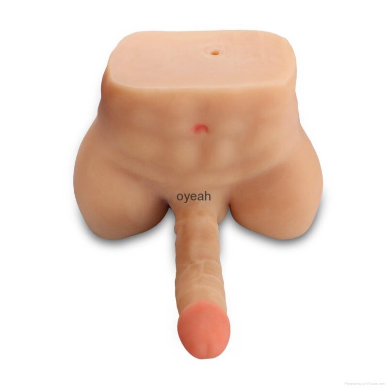 Mô hình bộ phận riêng lẻ