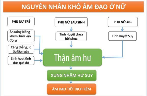 "Hạn Hán" Đến Từ Đâu