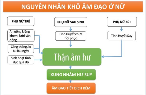 "Hạn Hán" Đến Từ Đâu