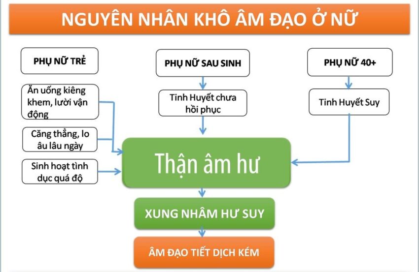 "Hạn Hán" Đến Từ Đâu