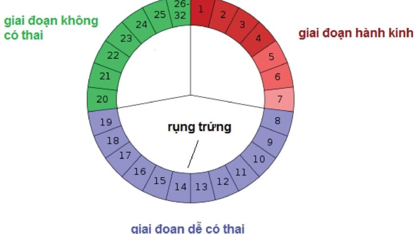 Con gái đến tháng bao nhiêu ngày