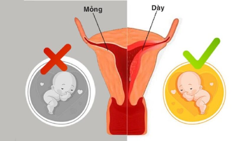là một tín hiệu vui