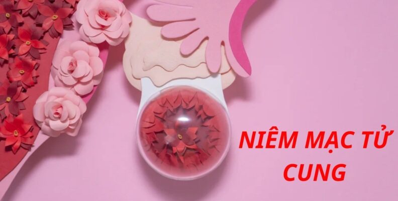 cách làm dày niêm mạc tử cung