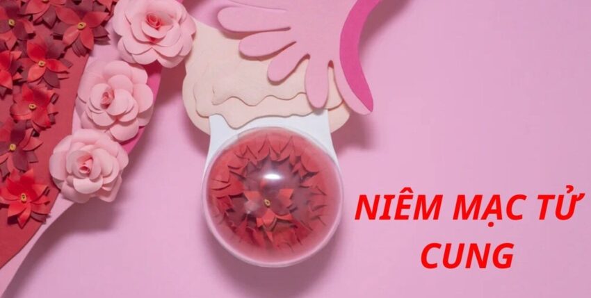 cách làm dày niêm mạc tử cung