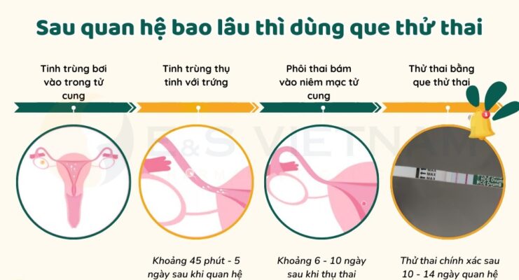 Khi Nào Dùng Que Thử Thai Chính Xác Nhất? Cẩm Nang Từ A-Z Cho Người Trong Cuộc 8 khi nào dùng que thử thai chính xác nhất