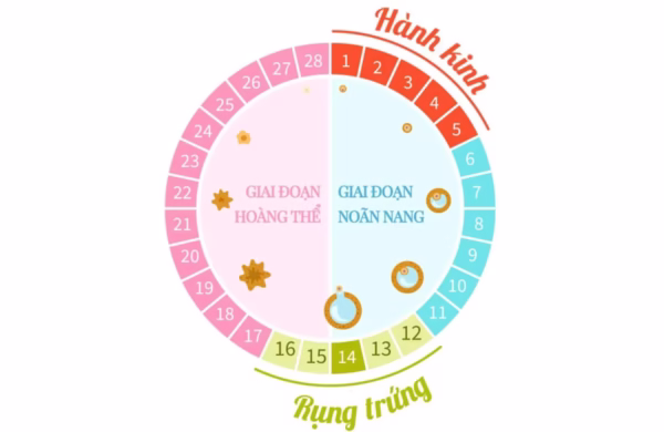 Quan Hệ Trước Ngày Có Kinh Có Thai Không