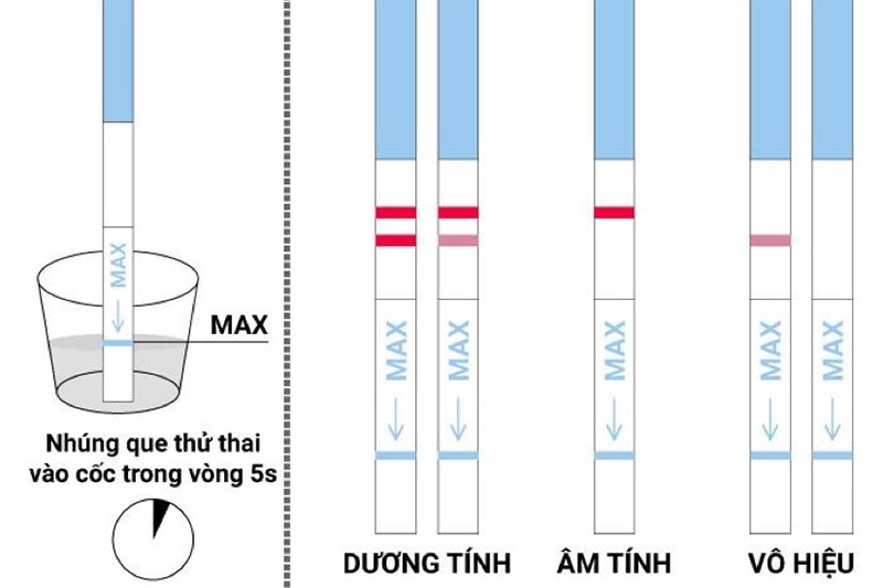 Hướng Dẫn Sử Dụng Que Thử Rụng Trứng
