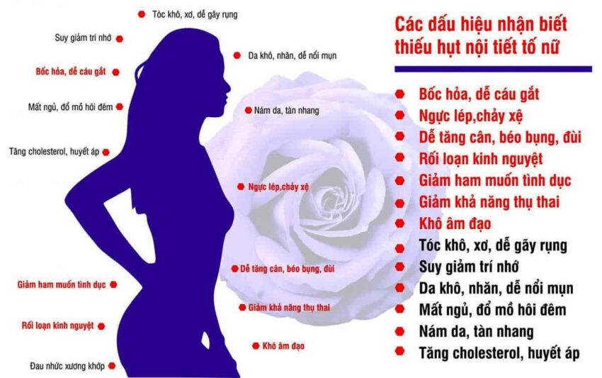 Nhạc trưởng của cơ thể phái đẹp là gì