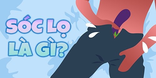 sóc lọ là gì