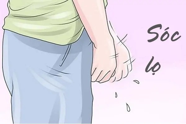 Sóc Lọ Có Hại Không