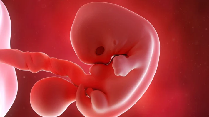 Thai lưu 7 tuần nên hút hay uống thuốc? Phân tích, So sánh, Chi phí và Quy trình xử lý 95 Thai Lưu 7 Tuần Nên Hút Hay Uống Thuốc