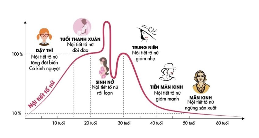 Nguyên Nhân Nào Dẫn Đến Tình Trạng Suy Giảm Nội Tiết Tố Nữ