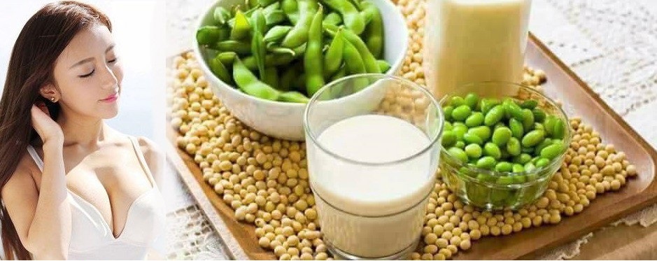 Thực Phẩm Bổ Sung Nội Tiết Tố Nữ