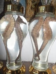 Liều Lượng Sử Dụng