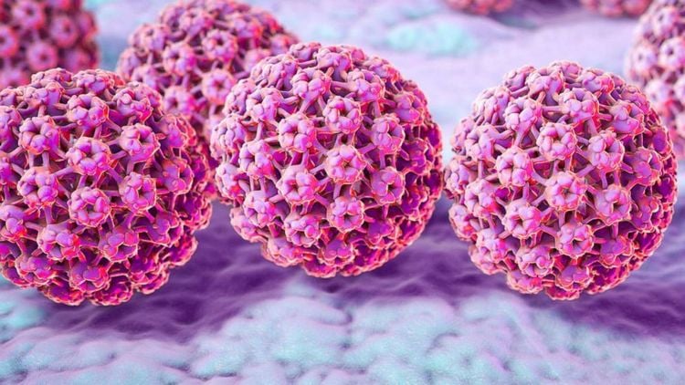 virus Human Papillomavirus (HPV)