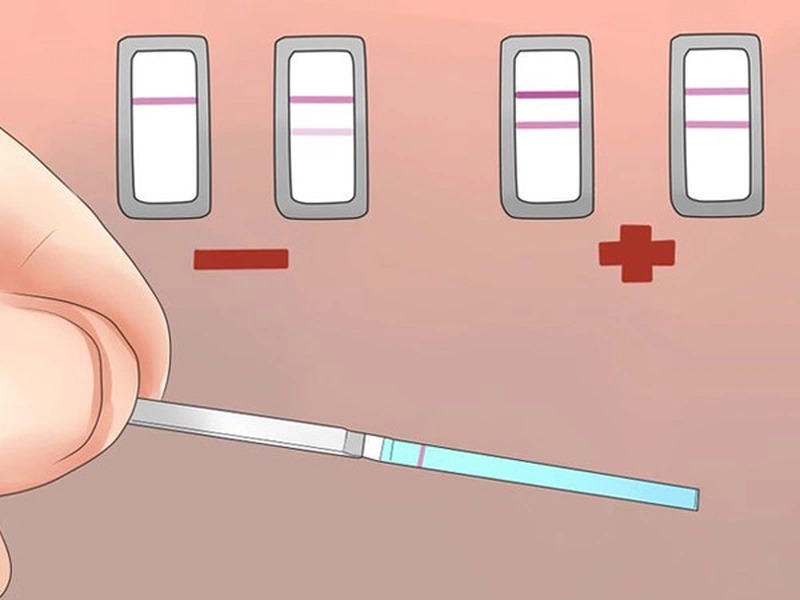 Canh rụng trứng cho người kinh nguyệt không đều
