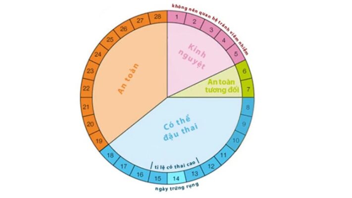 thời điểm rụng trứng của phụ nữ