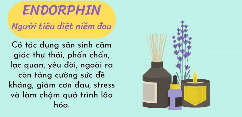 hormone hưng phấn