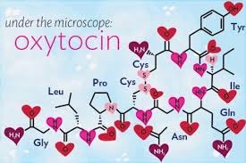 hormone hưng phấn