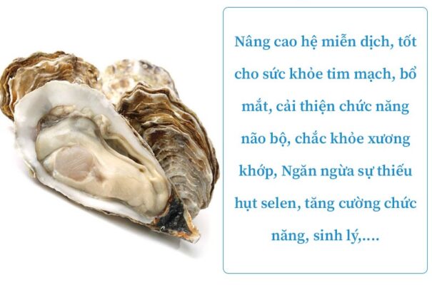 ăn hàu nhiều có tốt không