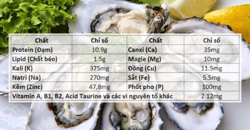 ăn hàu nhiều có tốt không