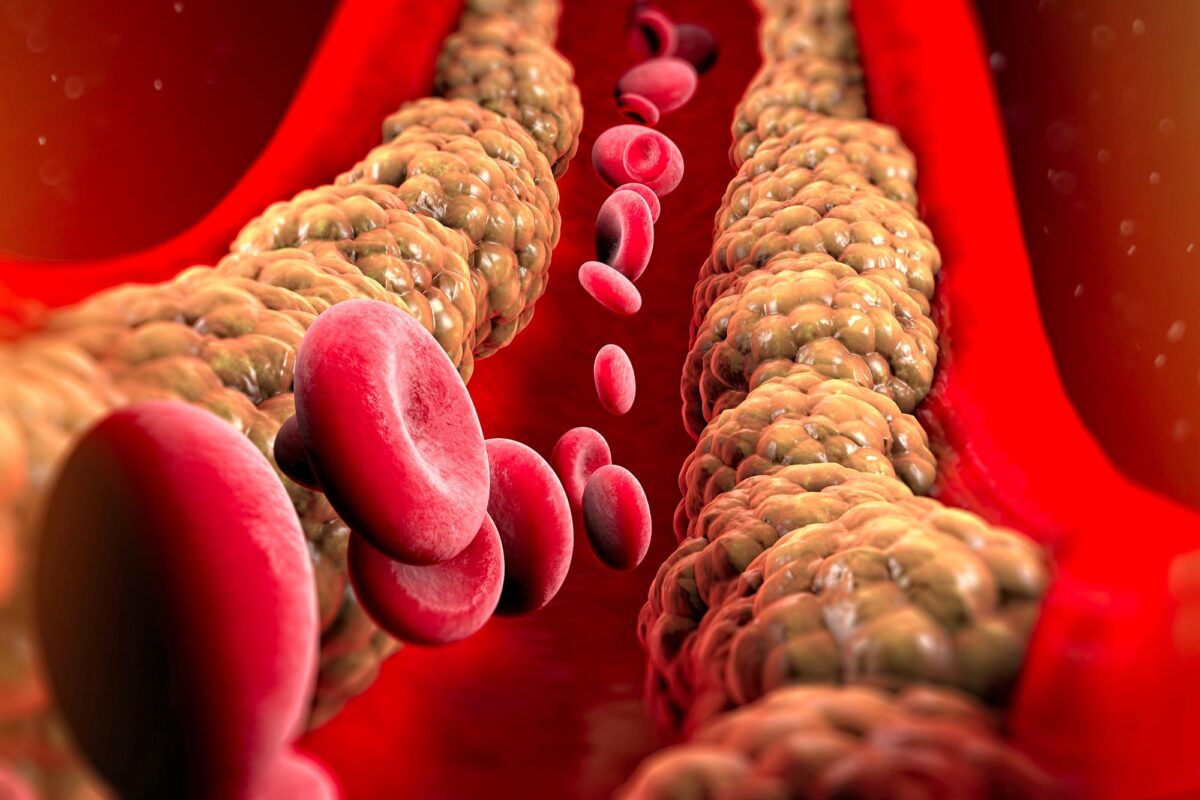 Tự sướng khi mang thai 3 tháng đầu: Thông tin Y khoa, Ảnh hưởng, Lợi ích, Rủi ro và Hướng dẫn an toàn 4 Lưu lượng máu