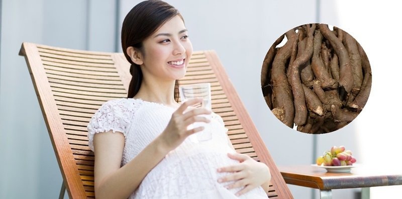 uống củ gai có ảnh hưởng đến thai nhi
