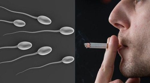 tinh trùng có vị ngọt