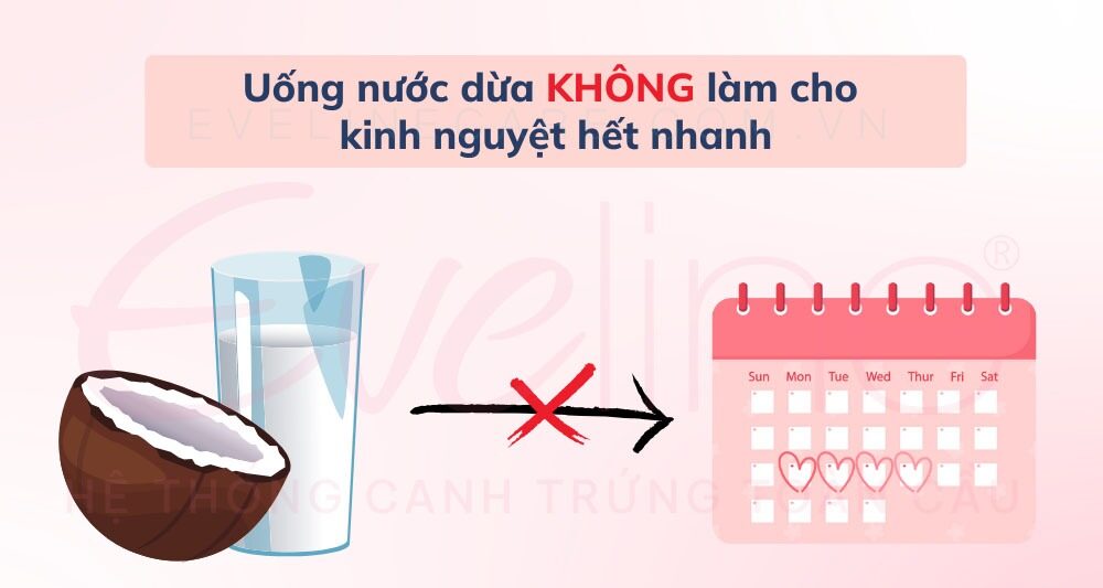 uống nước dừa có nhanh hết kinh không