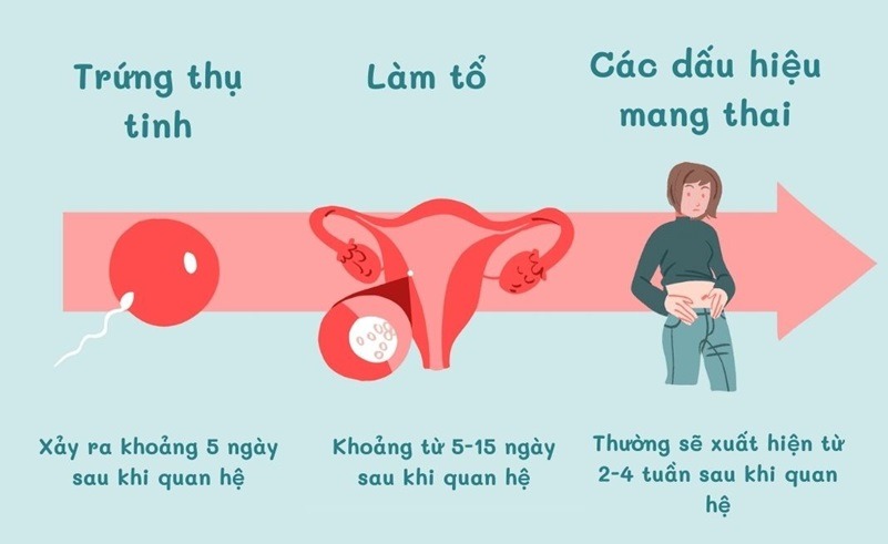 dấu hiệu tinh trùng gặp trứng ngày đầu tiên
