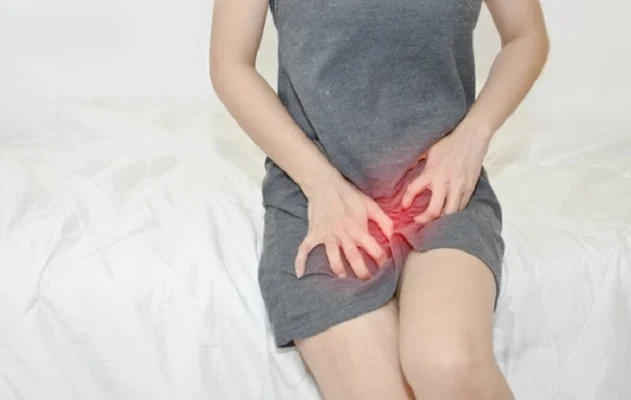 CAO LONG VUNG KIN BI NGUA