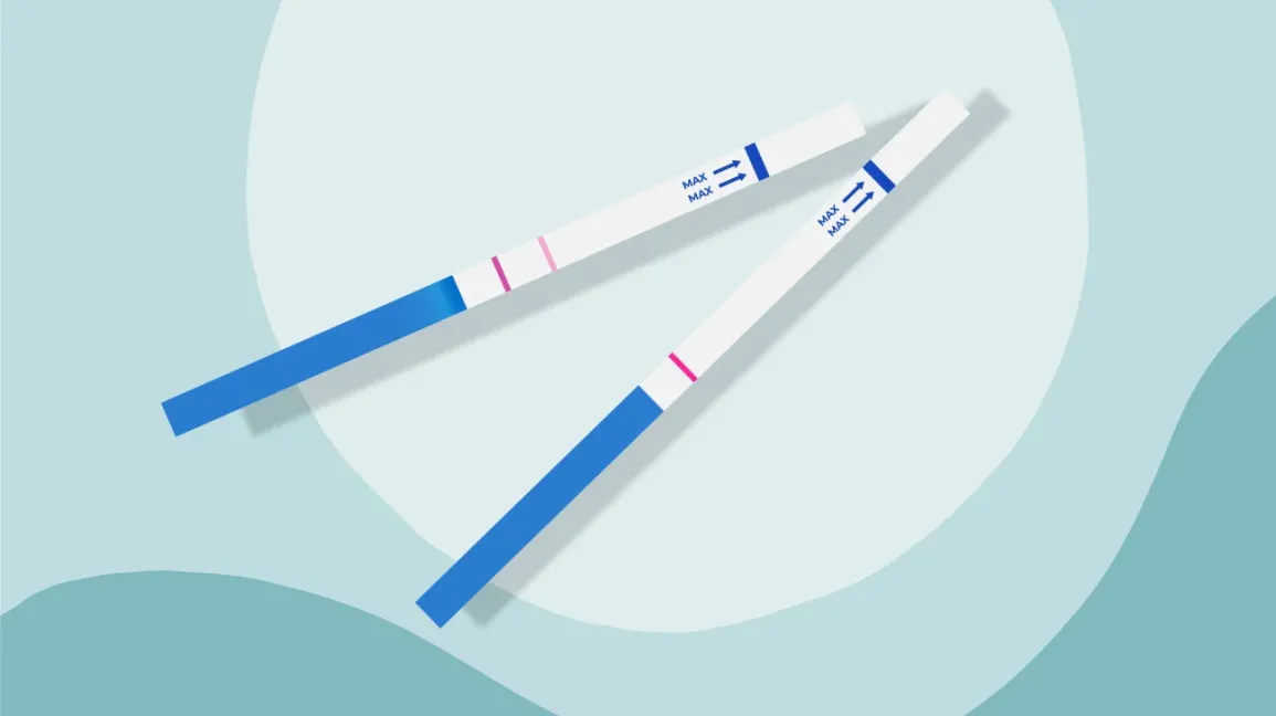 Que thử trứng rụng: Định nghĩa, Phân loại, Nguyên lý và Hướng dẫn sử dụng 3 Strip Tests