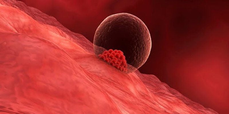 Sau Chuyển Phôi 9 Ngày Thử Que 1 Vạch: Nguyên Nhân, Ý Nghĩa và Các Bước Tiếp Theo 3 Hiện tượng phôi làm tổ chậm