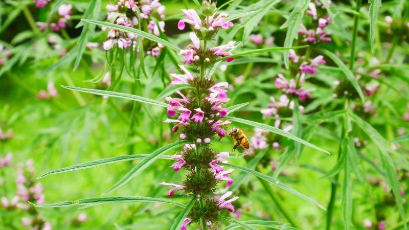 Rối loạn kinh nguyệt uống thuốc gì? Phân tích Nguyên nhân, Triệu chứng, 7+ Nhóm thuốc điều trị và Lưu ý Y khoa 11 ích mẫu