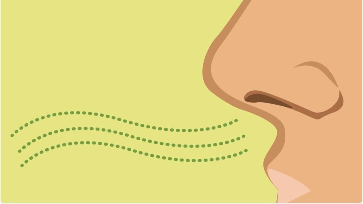 Kích thích vị giác và khứu giác