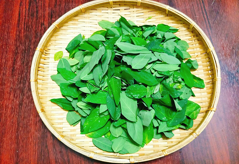Những điều kiêng kỵ trong 3 tháng đầu mang thai: Dinh dưỡng, Vận động, Lối sống và Yếu tố Y tế 10 rau ngót