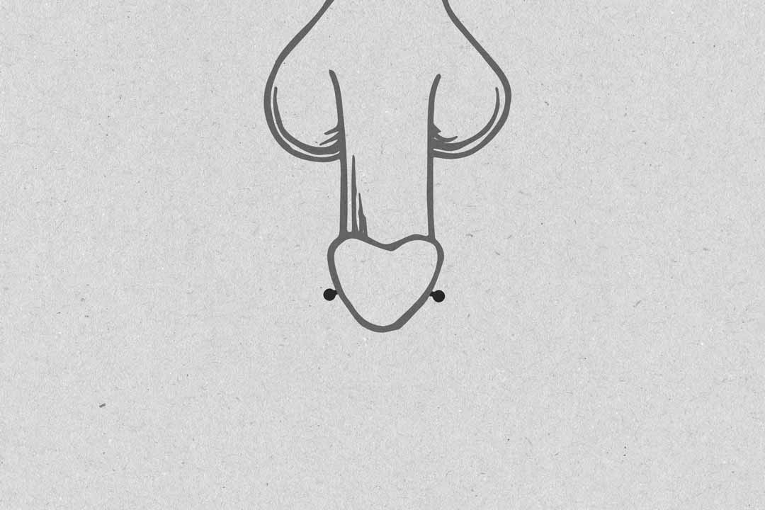 Xỏ khuyên dương vật: Thông tin, Phân loại, Quy trình và Chăm sóc 8 Ampallang