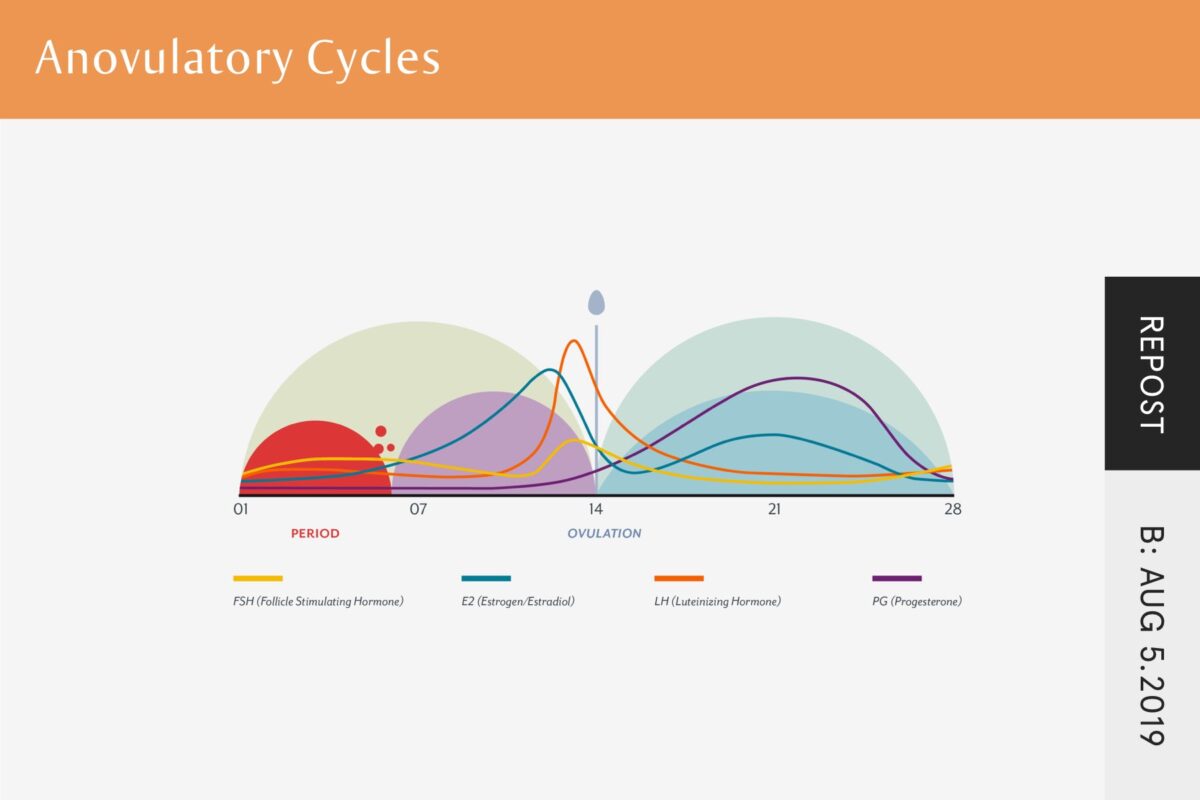 anovulatory cycle