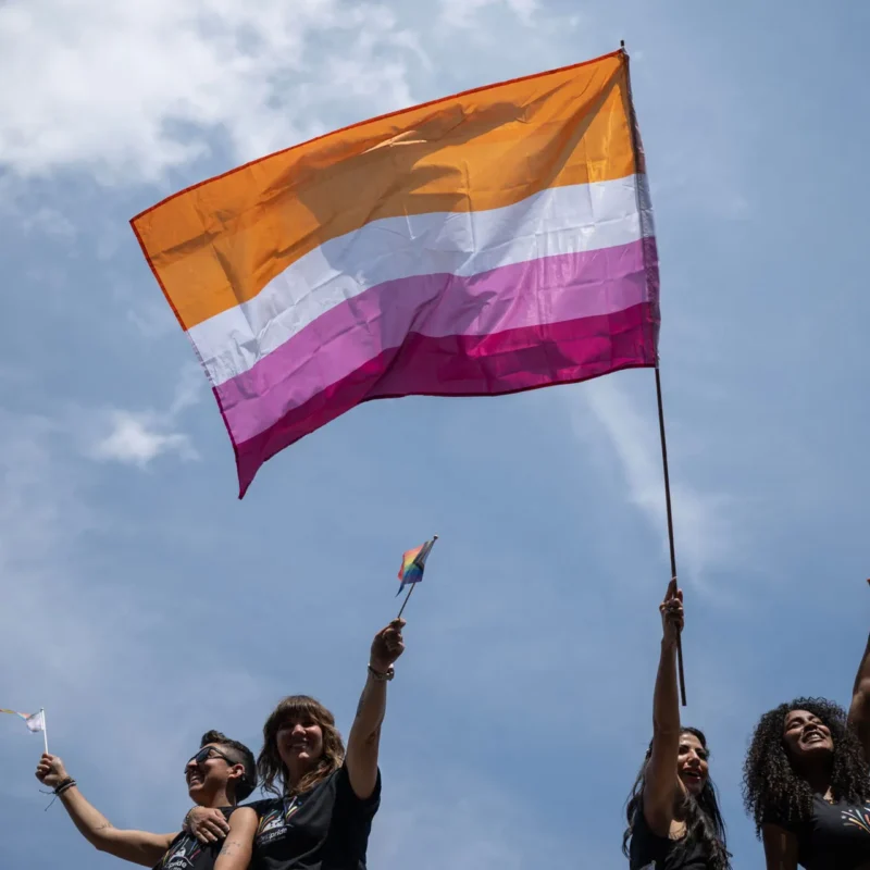 Đồng tính luyến ái nữ: Định nghĩa, Thuật ngữ, Biểu hiện và Các khía cạnh tâm lý xã hội 7 Lesbian