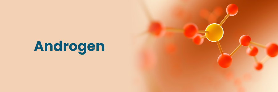 Gai Dương Vật: Nguyên Nhân, Triệu Chứng, Phân Loại và Các Phương Pháp Điều Trị 2 androgen