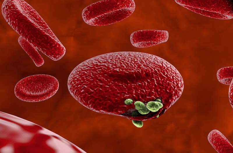 Bệnh Von Willebrand