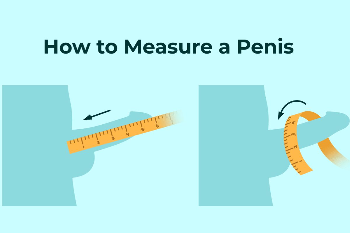 Cách tính chu vi dương vật