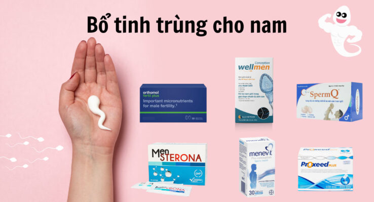 Thuốc bổ tinh trùng cho nam